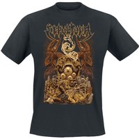 Sepultura &ndash; Sepultura Arisen T-shirt black