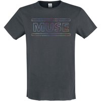 Muse &ndash; Muse Amplified Collection - Logo T-shirt charcoal