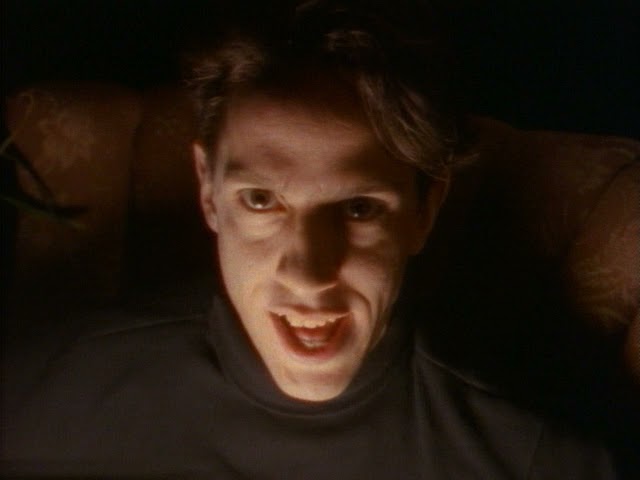 Birdhouse In Your Soul