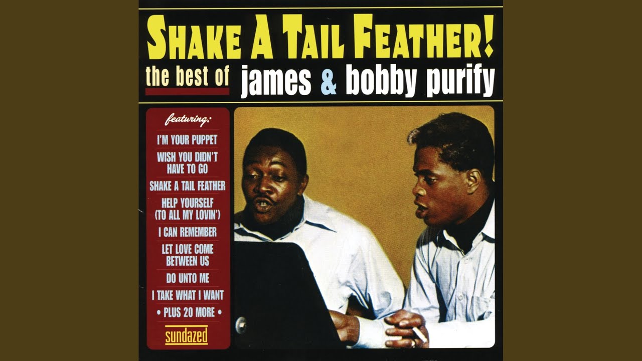 James & Bobby Purify - I'm Your Puppet