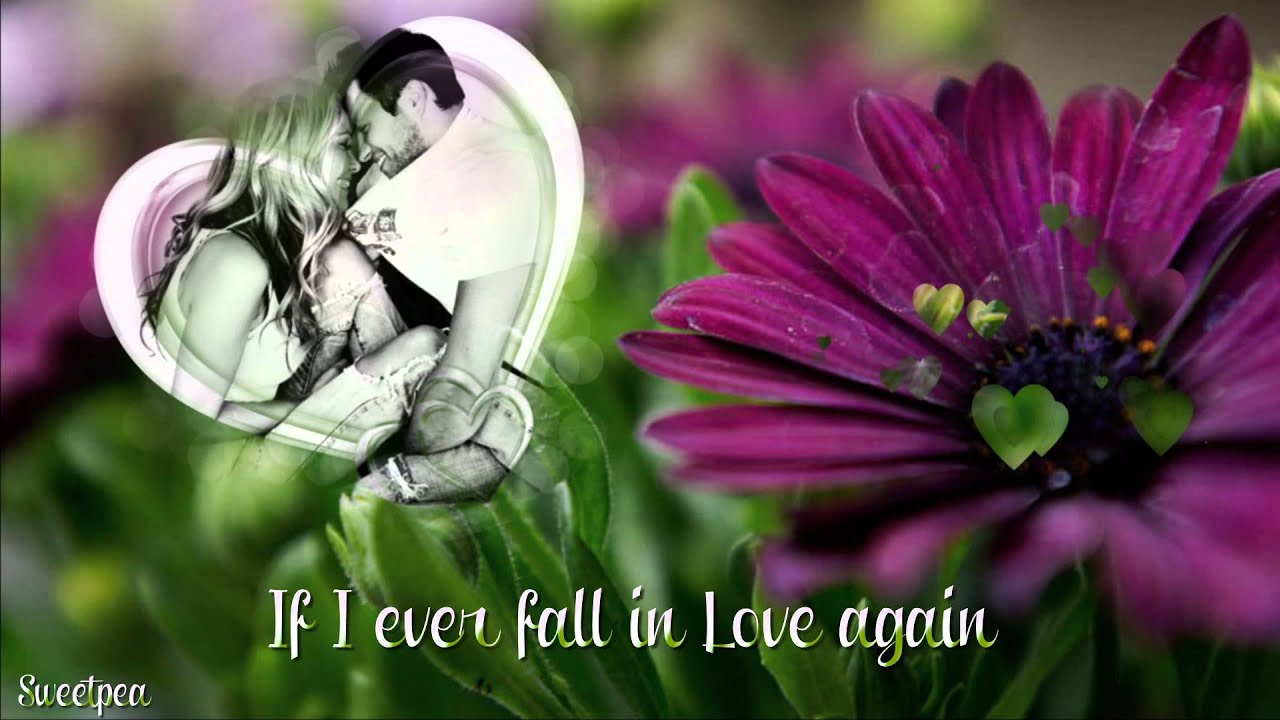 If I Ever Fall in Love Again