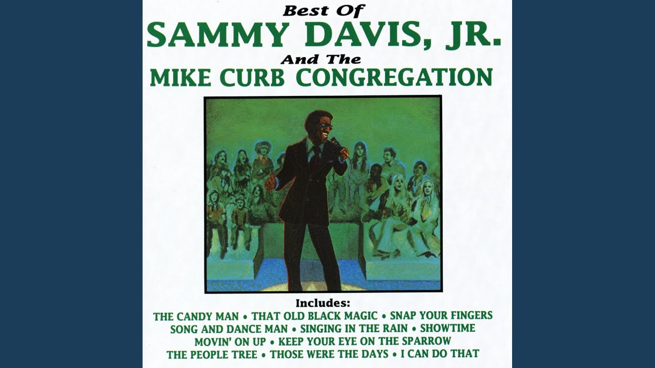 Keep Your Eye on the Sparrow