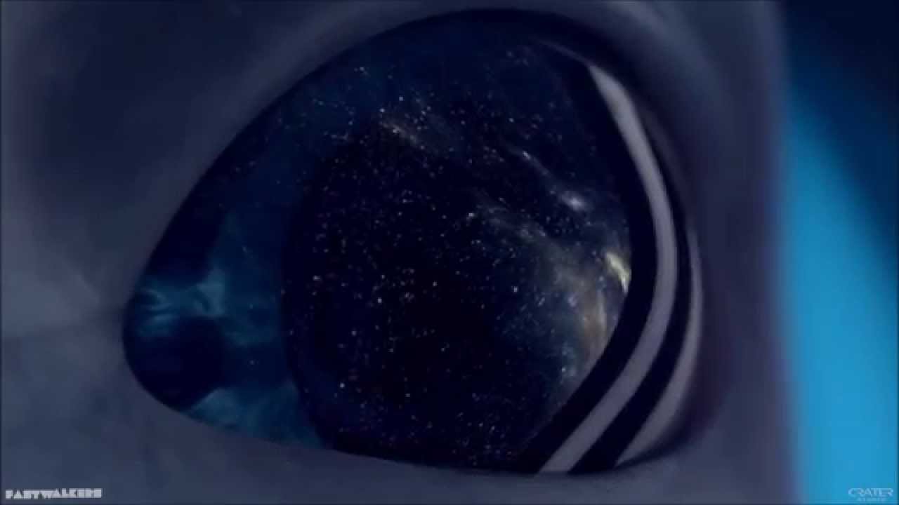 New World
