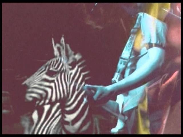 Deerhunter - Spring Hall Convert