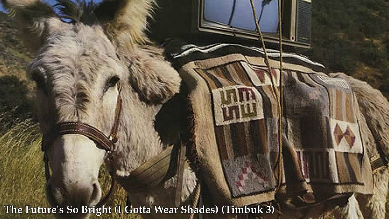 The Future's So Bright