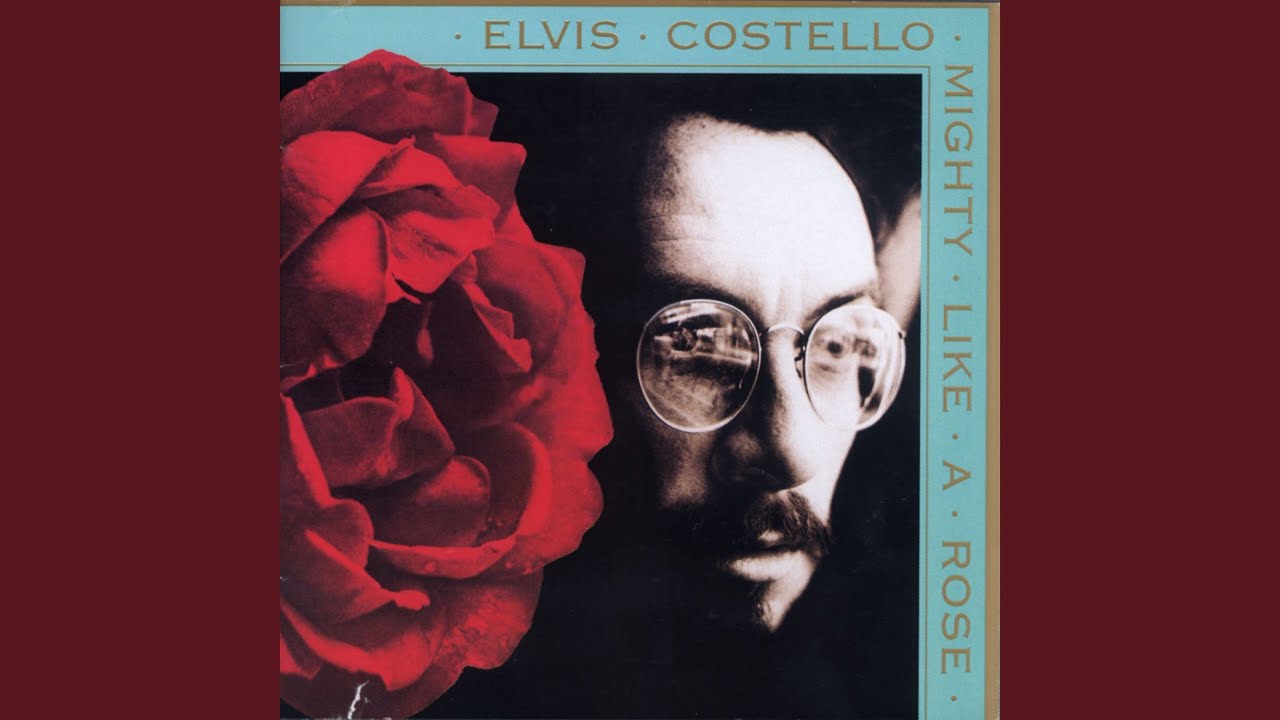 Elvis Costello - The Other Side of Summer