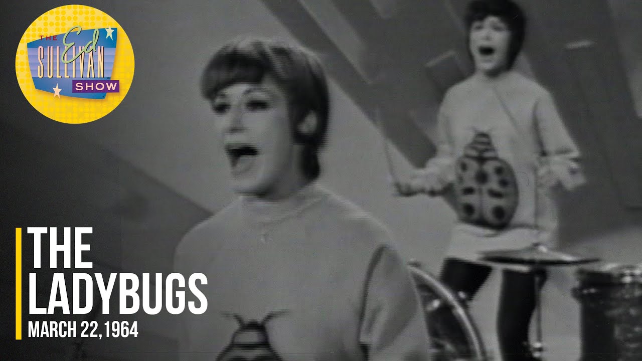 The Ladybugs - When I Saw Him Standing There
